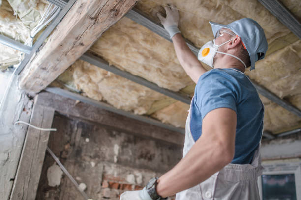 Best Spray Foam Insulation in Country Walk, FL